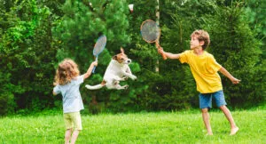 Mosquito control in NJ