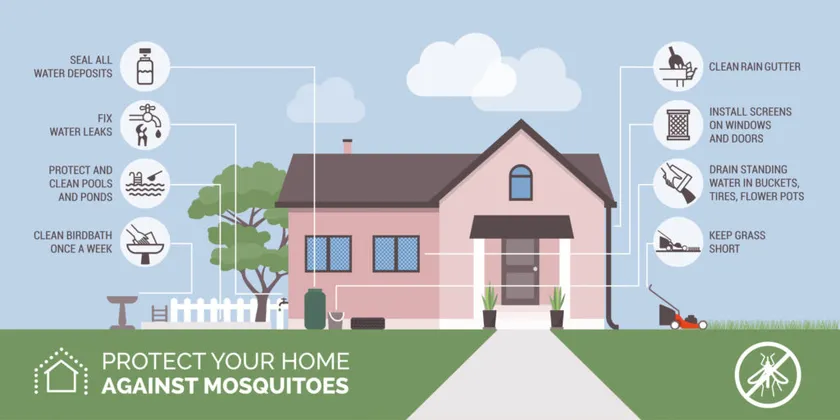 Mosquito Jane services