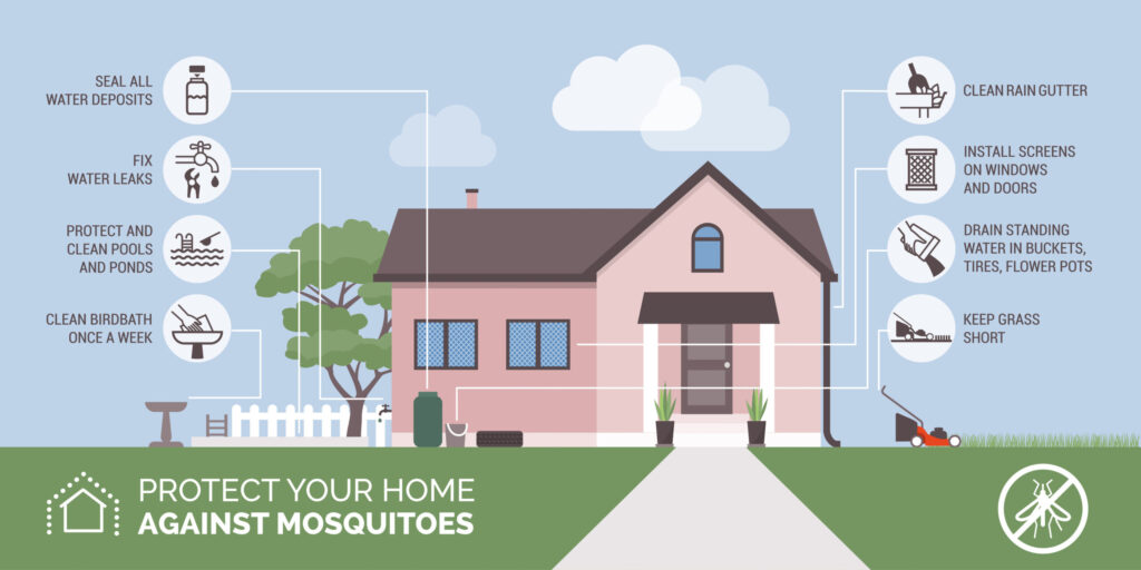 Mosquito Jane services